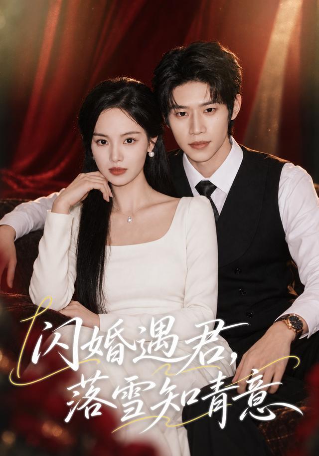 闪婚遇君，落雪知青意海报